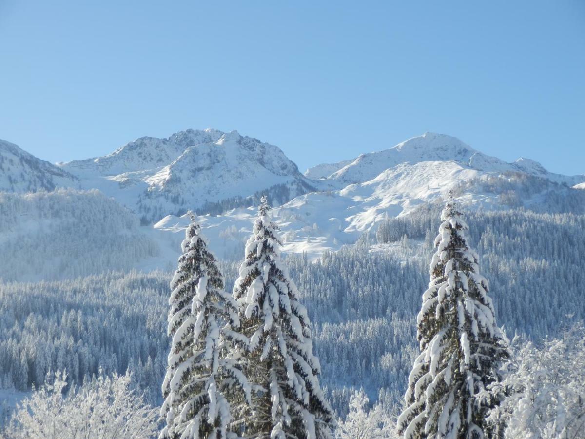 Ferienwohnung App. MOUNTAIN VIEW Fieberbrunn Exterior foto