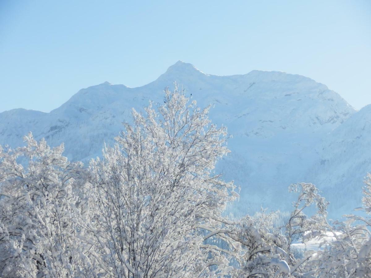 Ferienwohnung App. MOUNTAIN VIEW Fieberbrunn Exterior foto